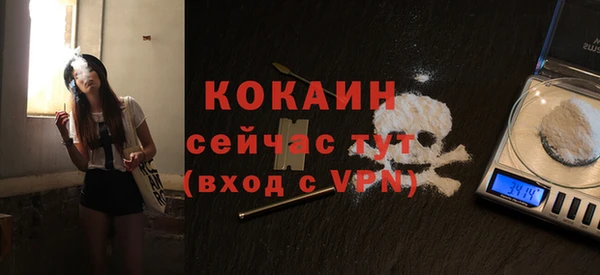 молекула духа Балахна