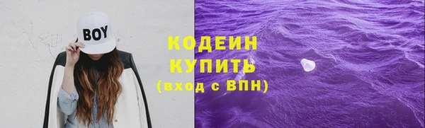прущий лед Осташков
