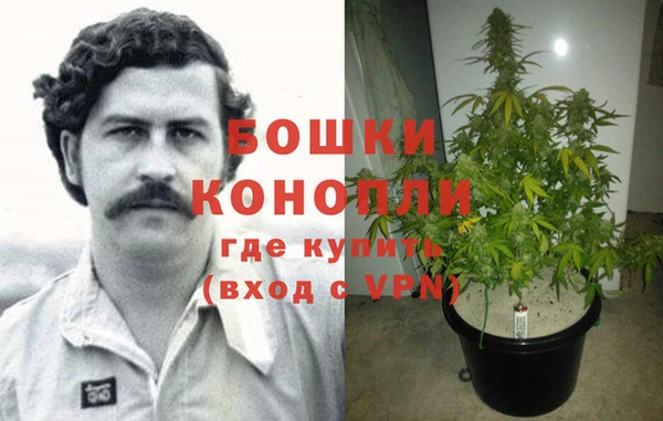 молекула духа Балахна