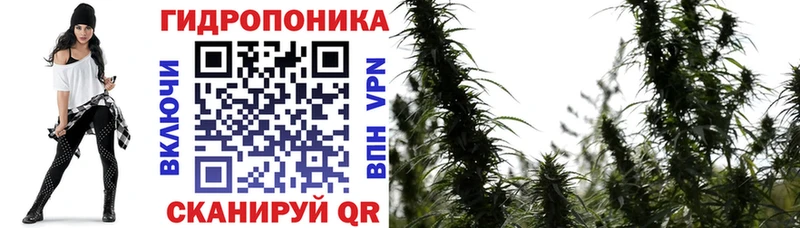 Марихуана сатива  KRAKEN как зайти  Петухово 
